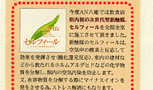 AN六庵